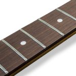 Paoletti Guitars | Product Neck Color Option